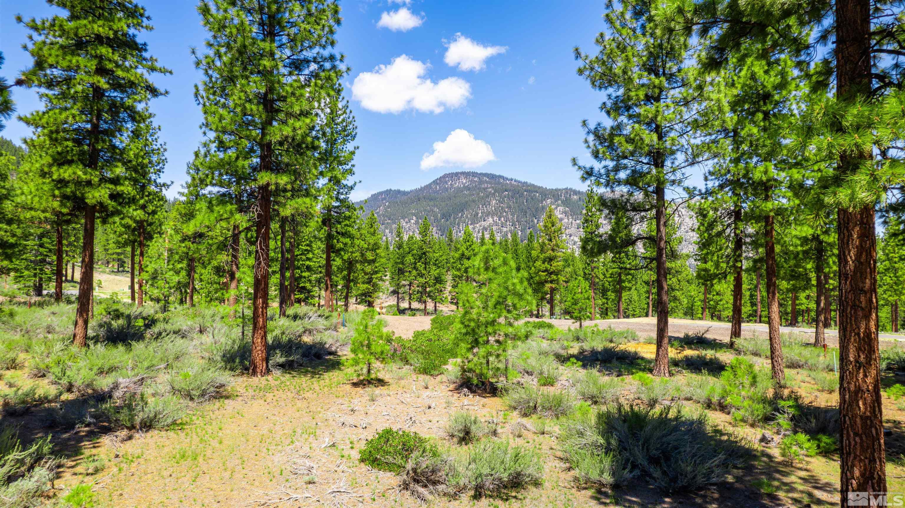 89 E Fork Dr Unit: 154