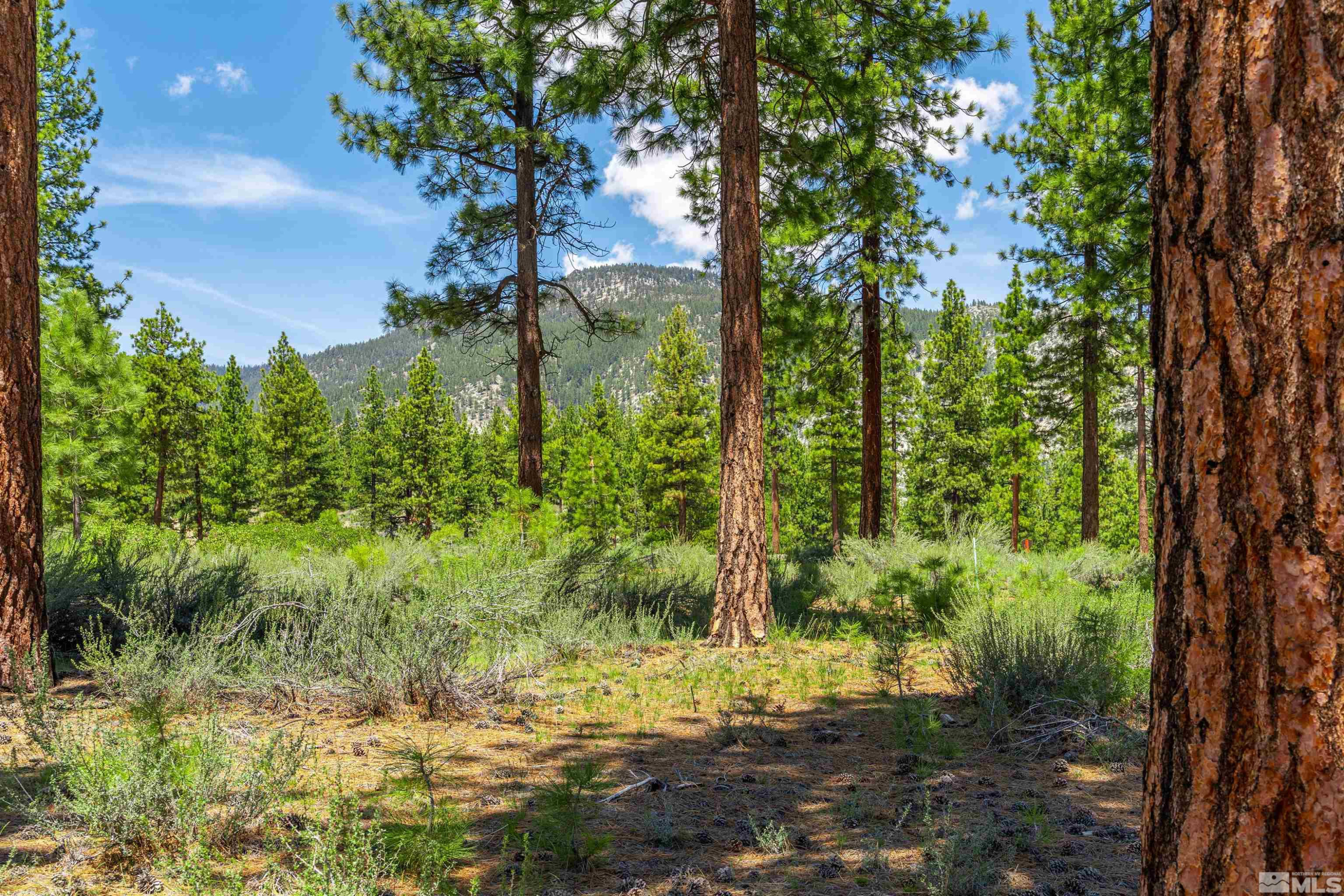 89 E Fork Dr Unit: 154