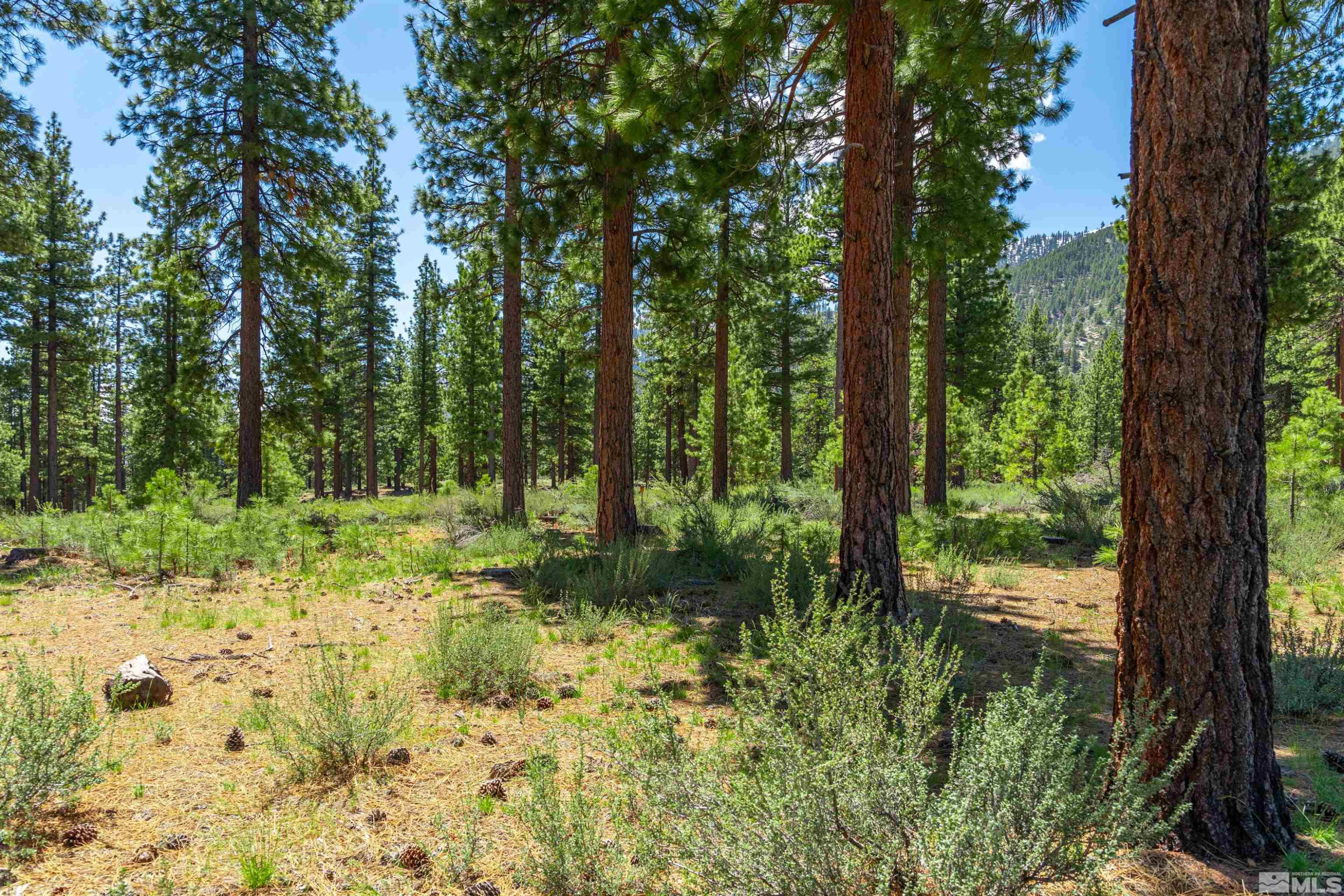 89 E Fork Dr Unit: 154