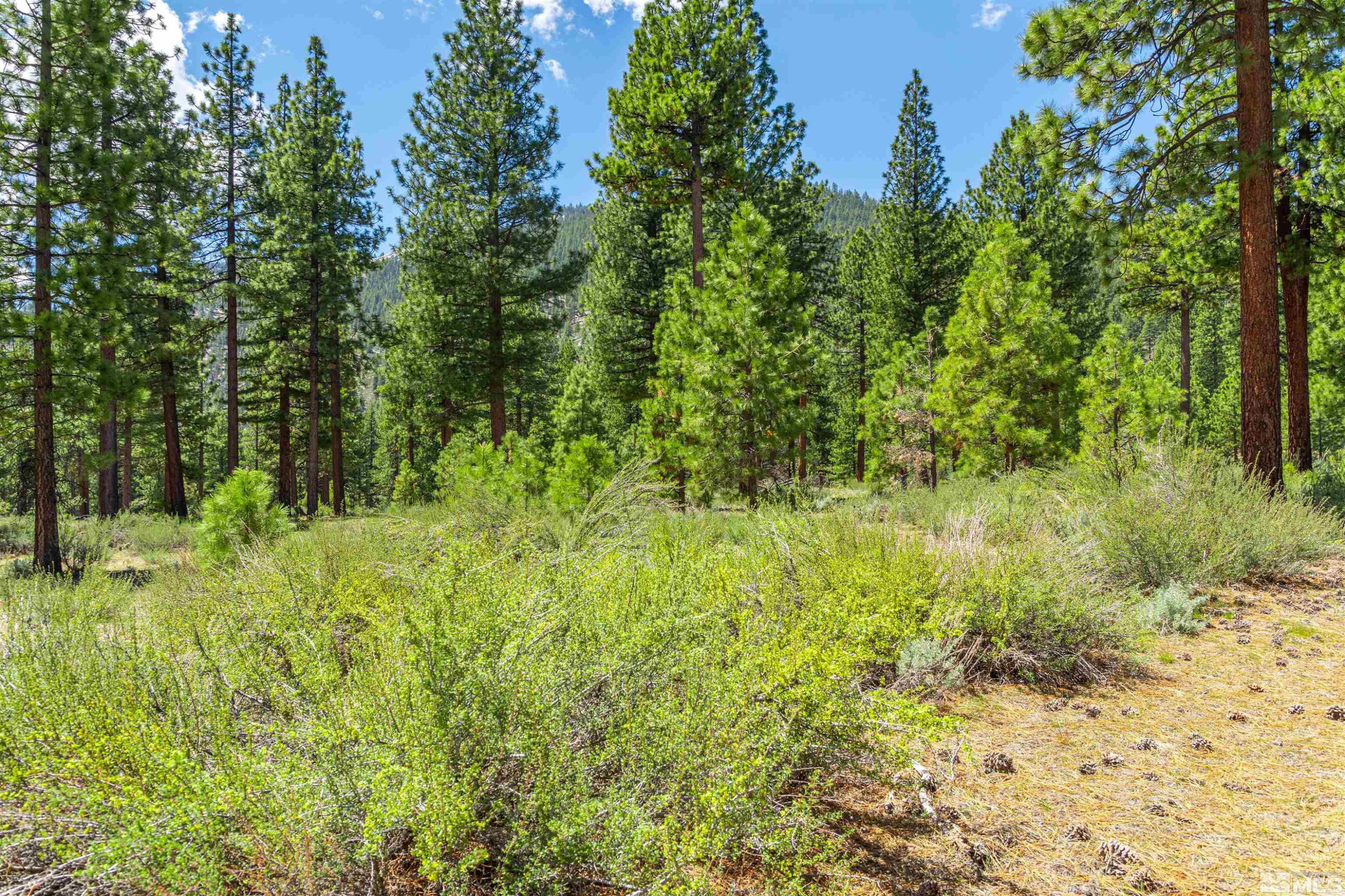 89 E Fork Dr Unit: 154