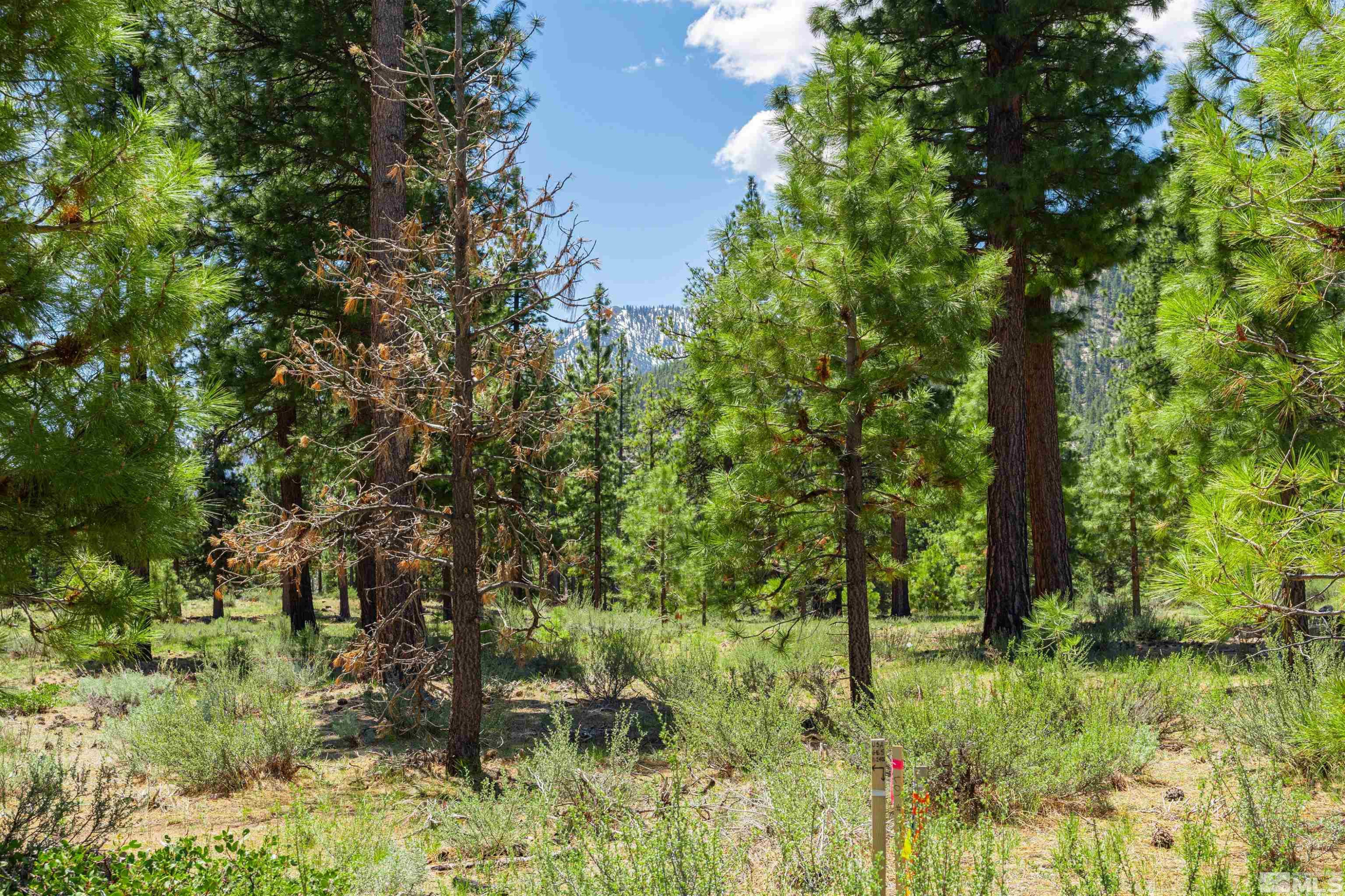 89 E Fork Dr Unit: 154