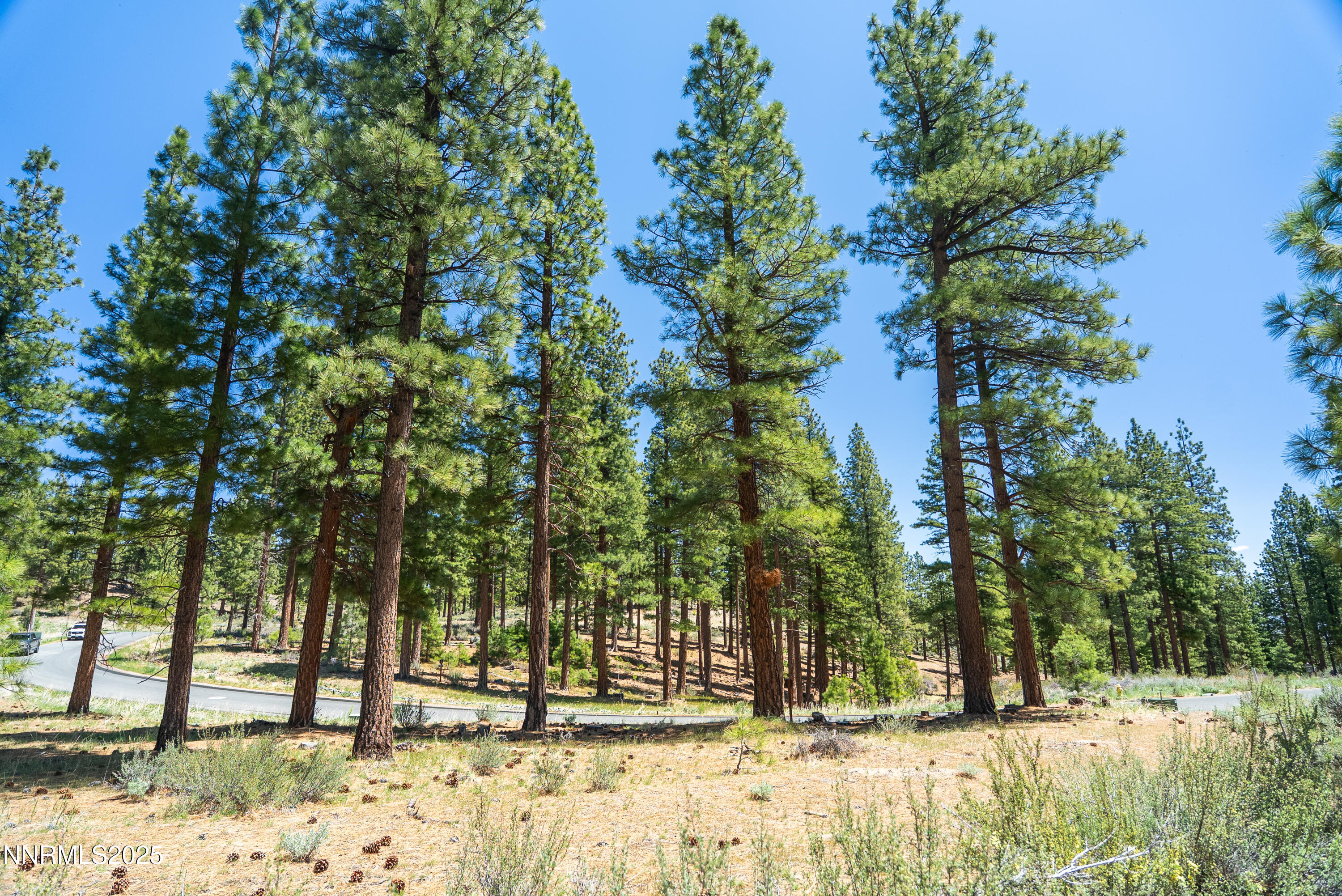 46 Boulder Bend Drive