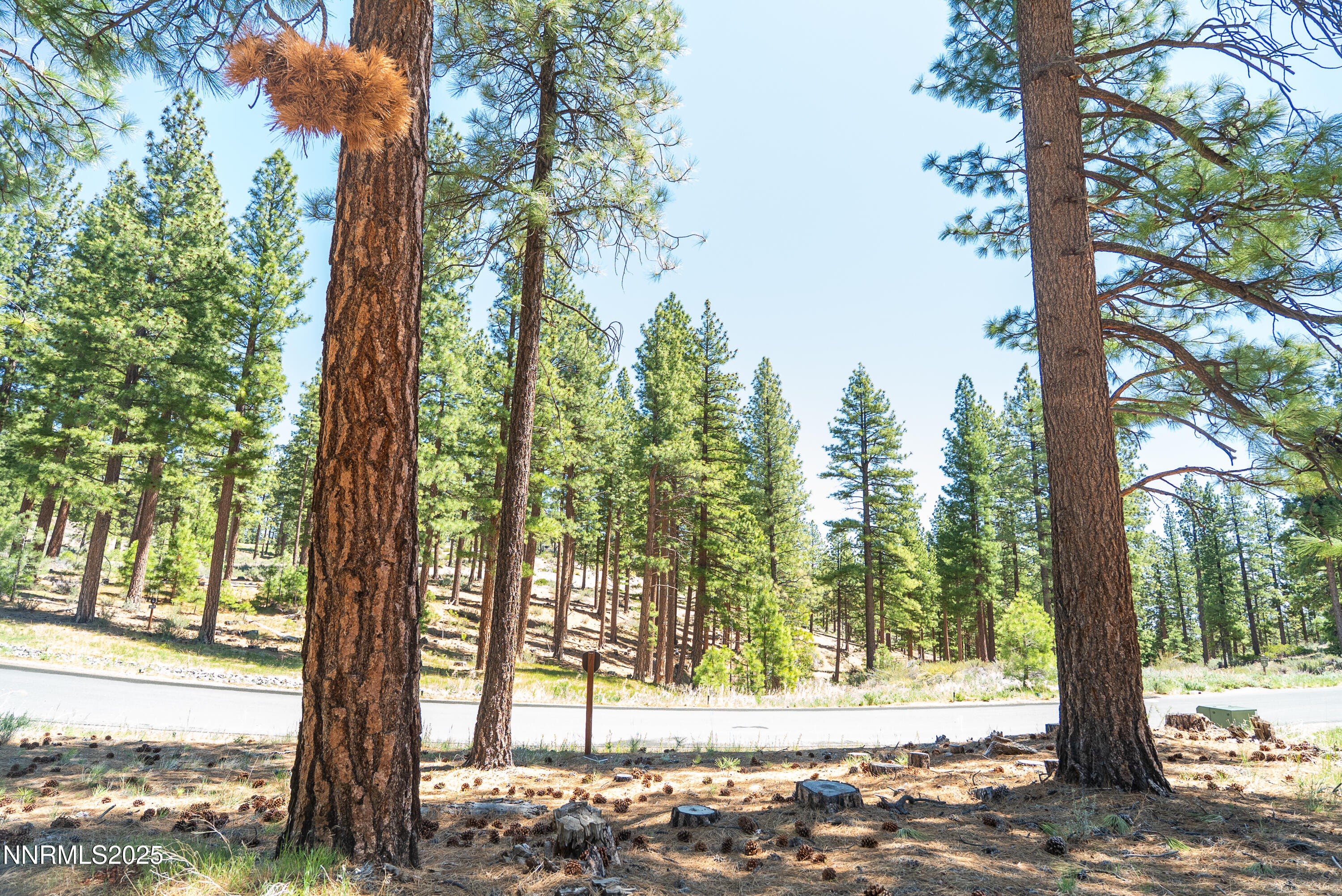 46 Boulder Bend Drive