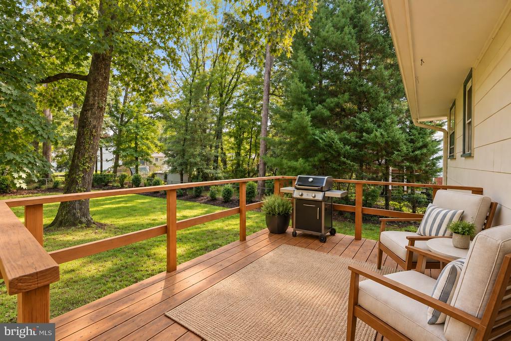 293 CEDAR LANE