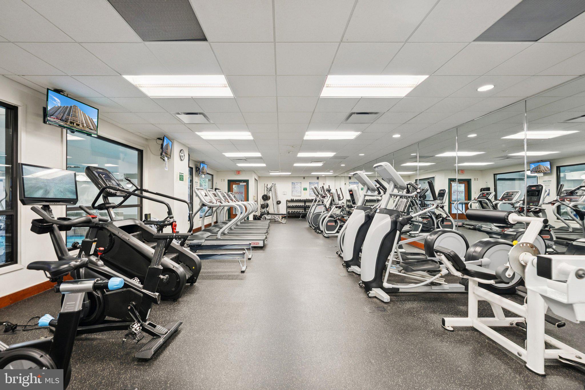 307 YOAKUM PARKWAY 519