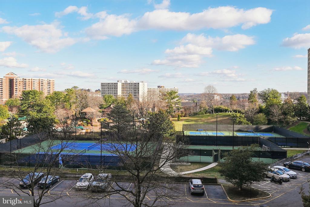 307 YOAKUM PARKWAY 519