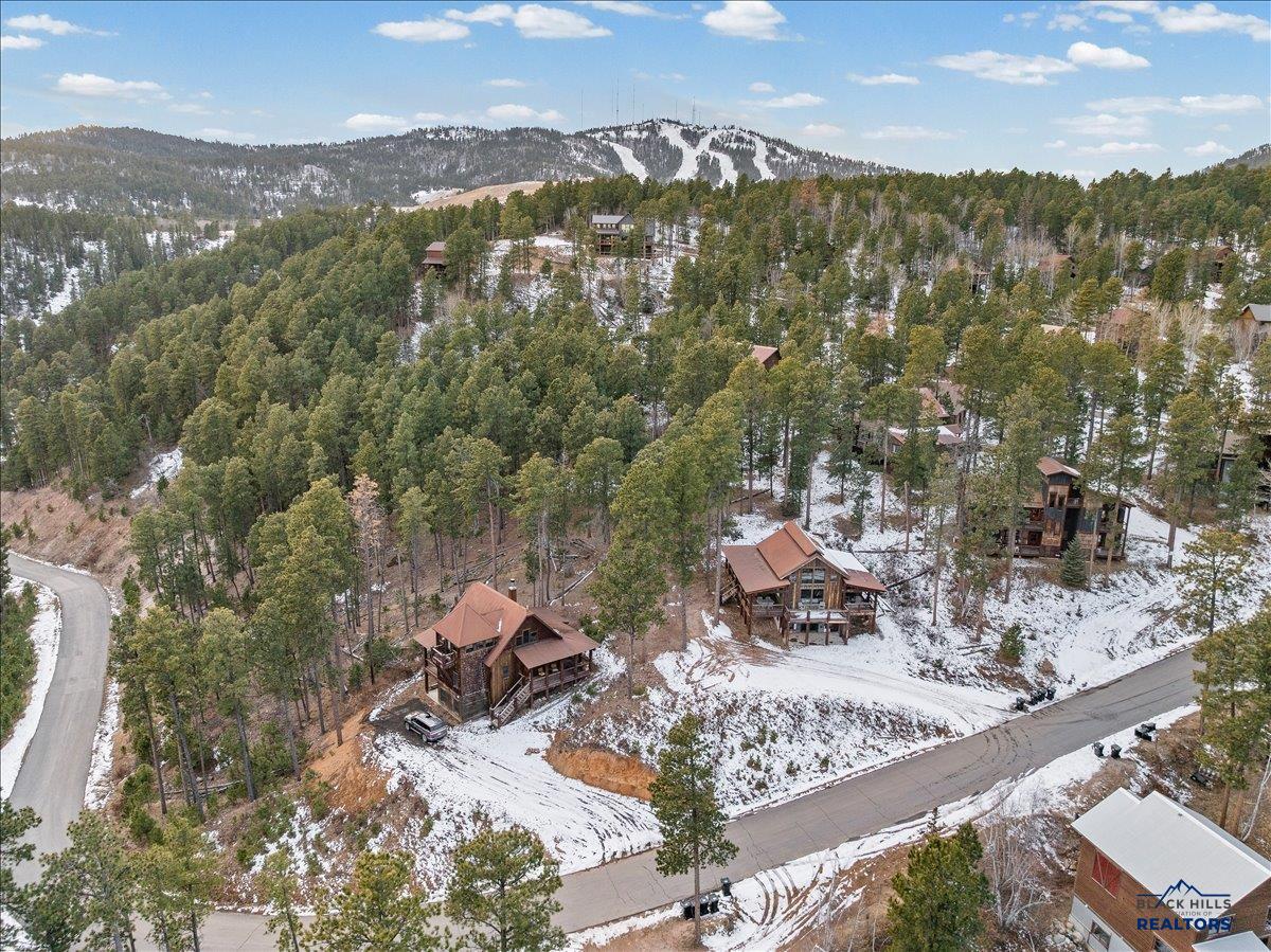 21177 GILDED MOUNTAIN RD