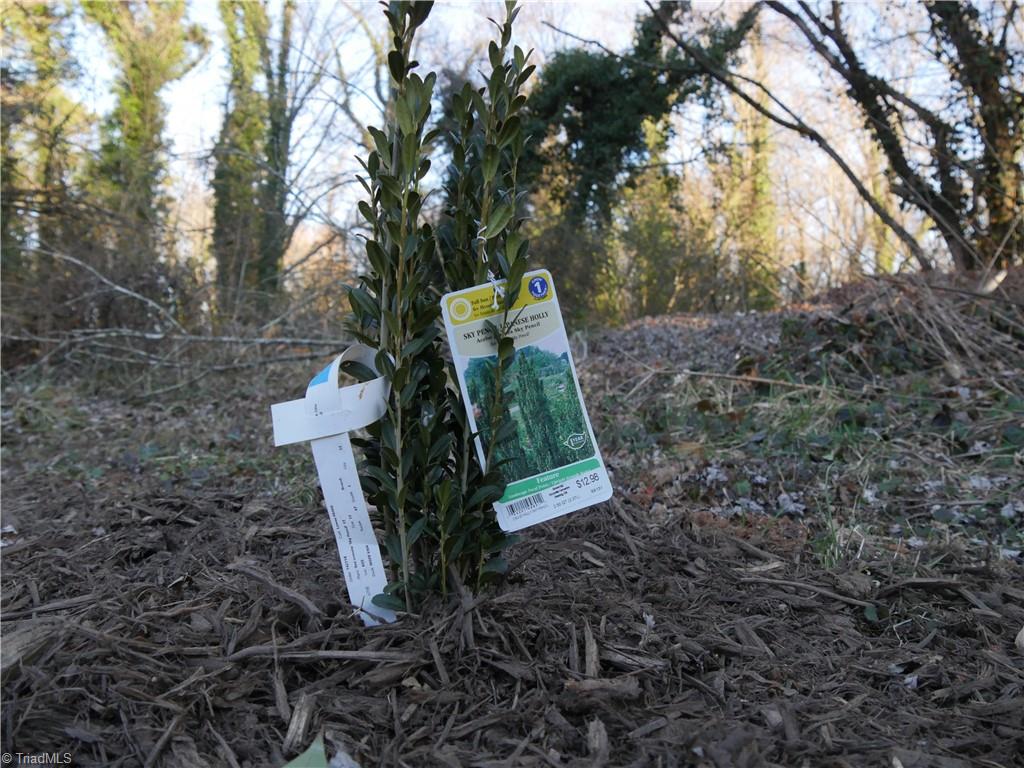 4625 Baux Mountain Road, Winston-Salem