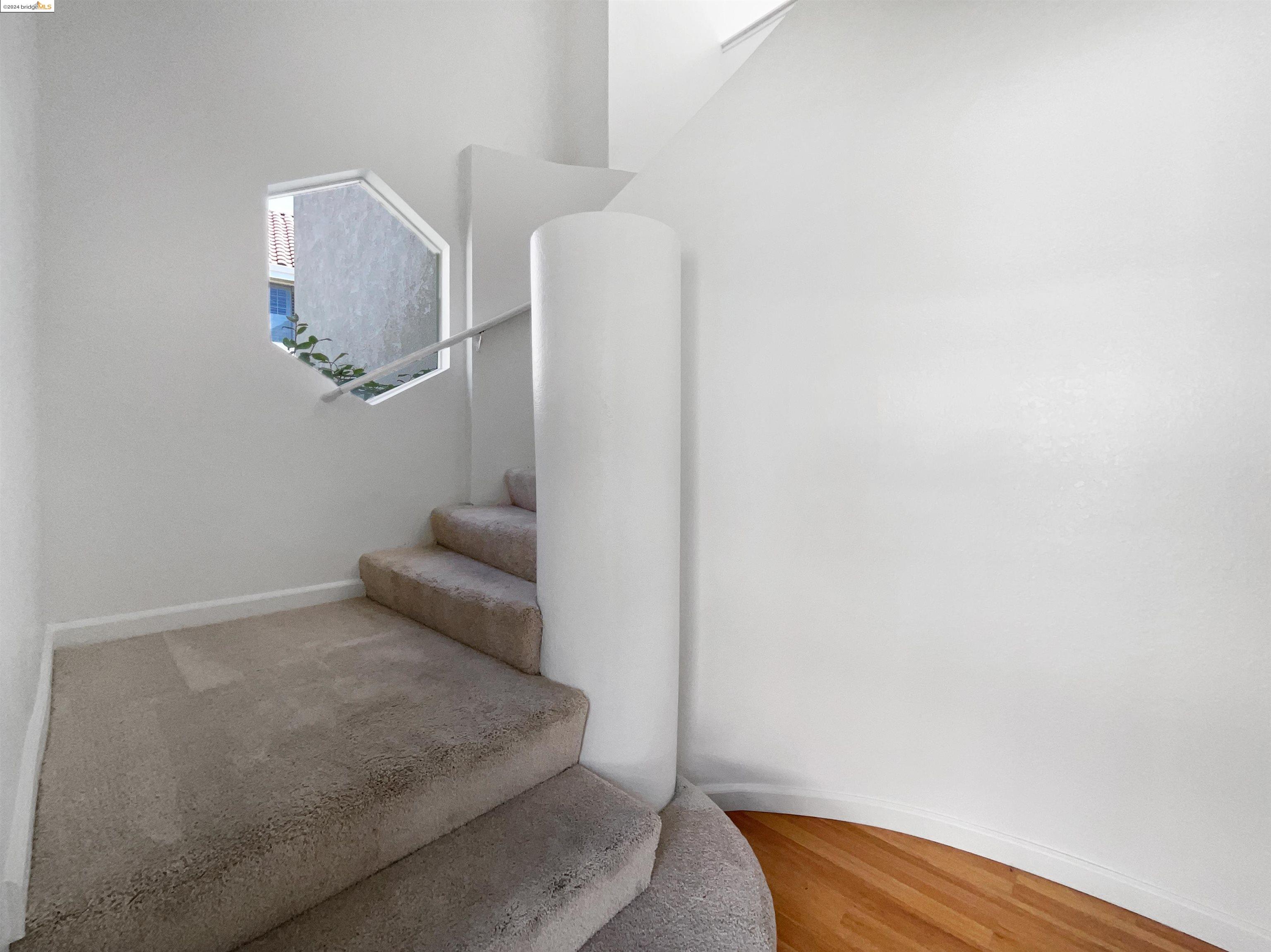 7237 Cronin