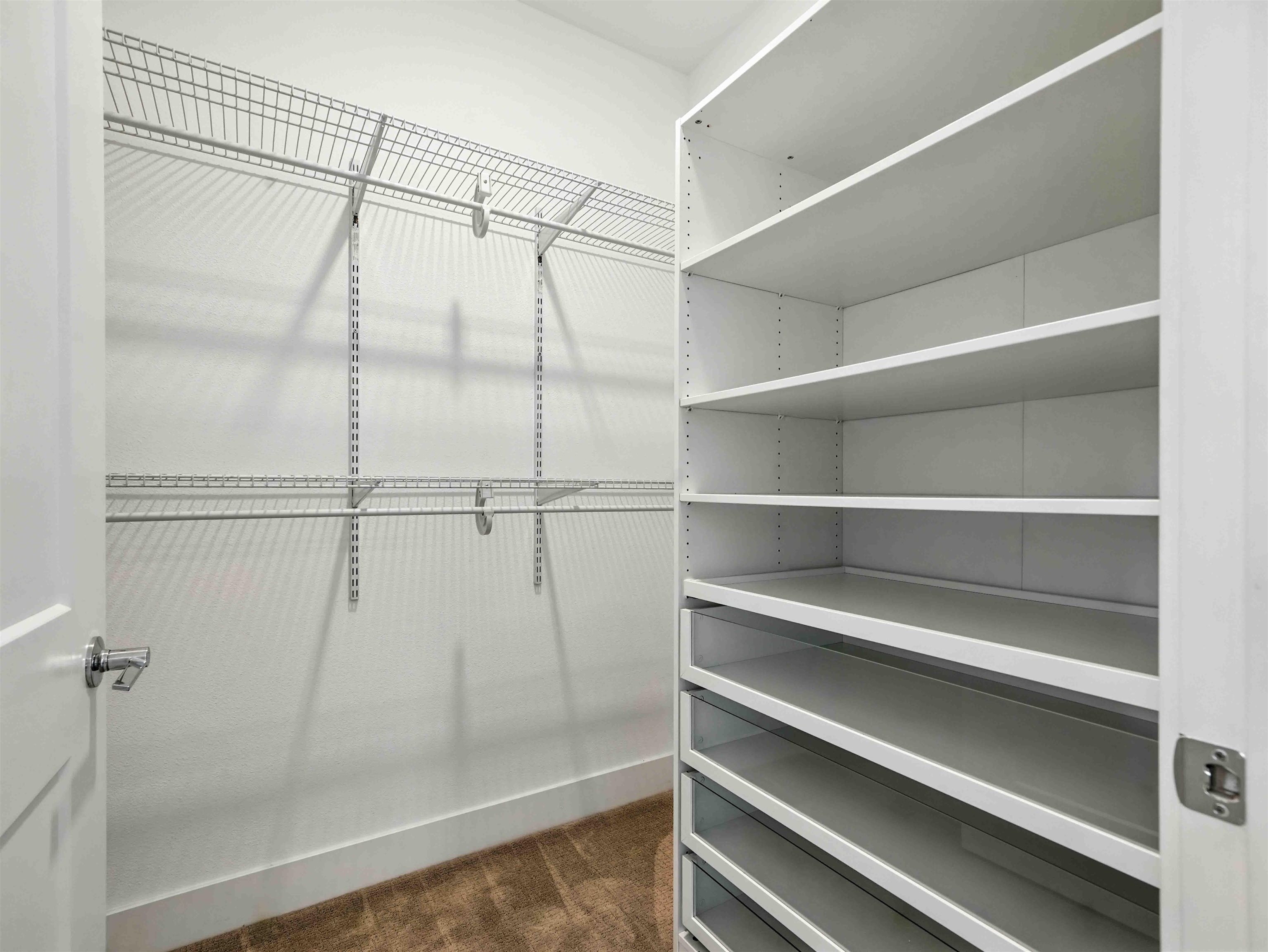 45128 Warm Springs Blvd # 323