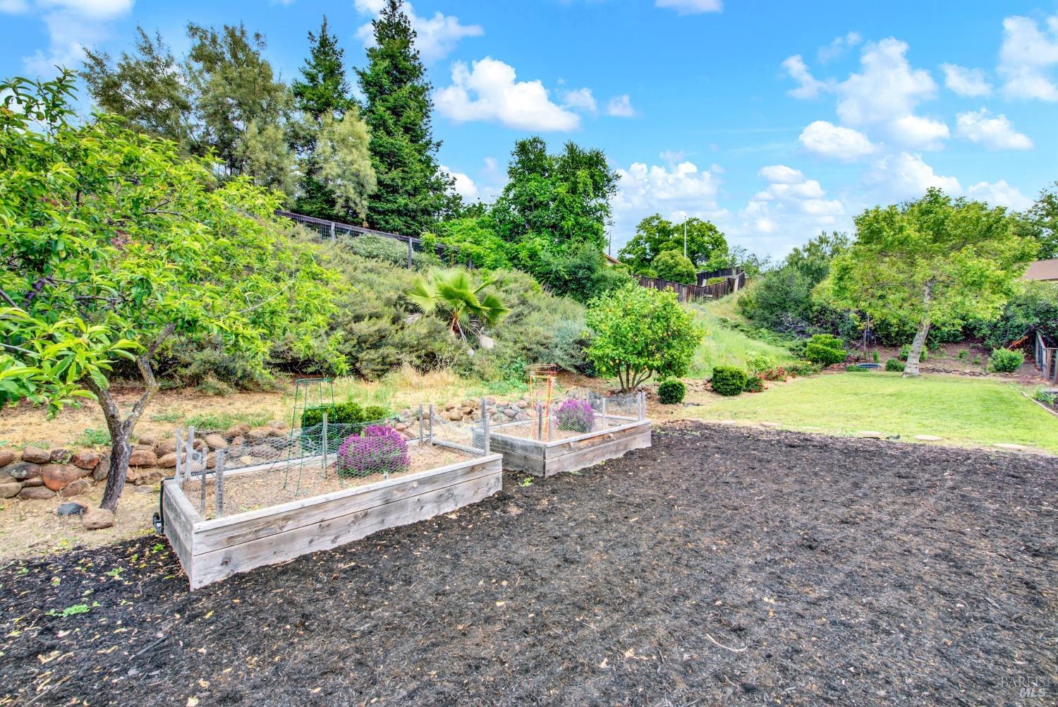 382 Marti Marie Drive