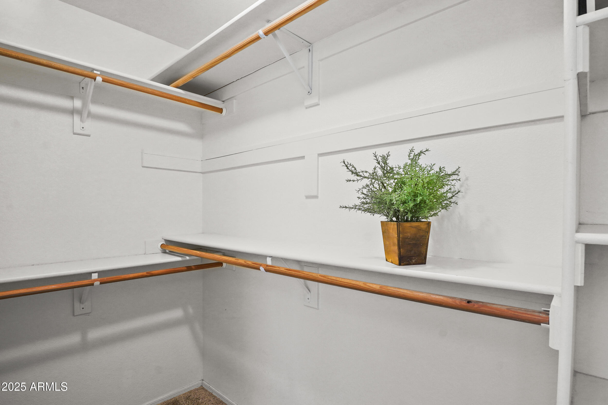 2921 CUMBERLAND Drive