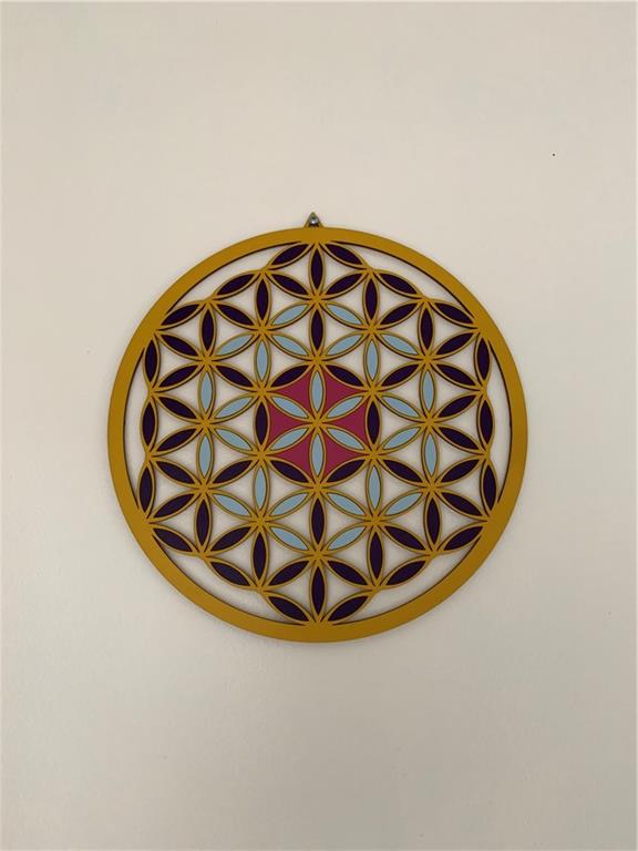 1604 Cypress Pointe Dr. Dr 1604