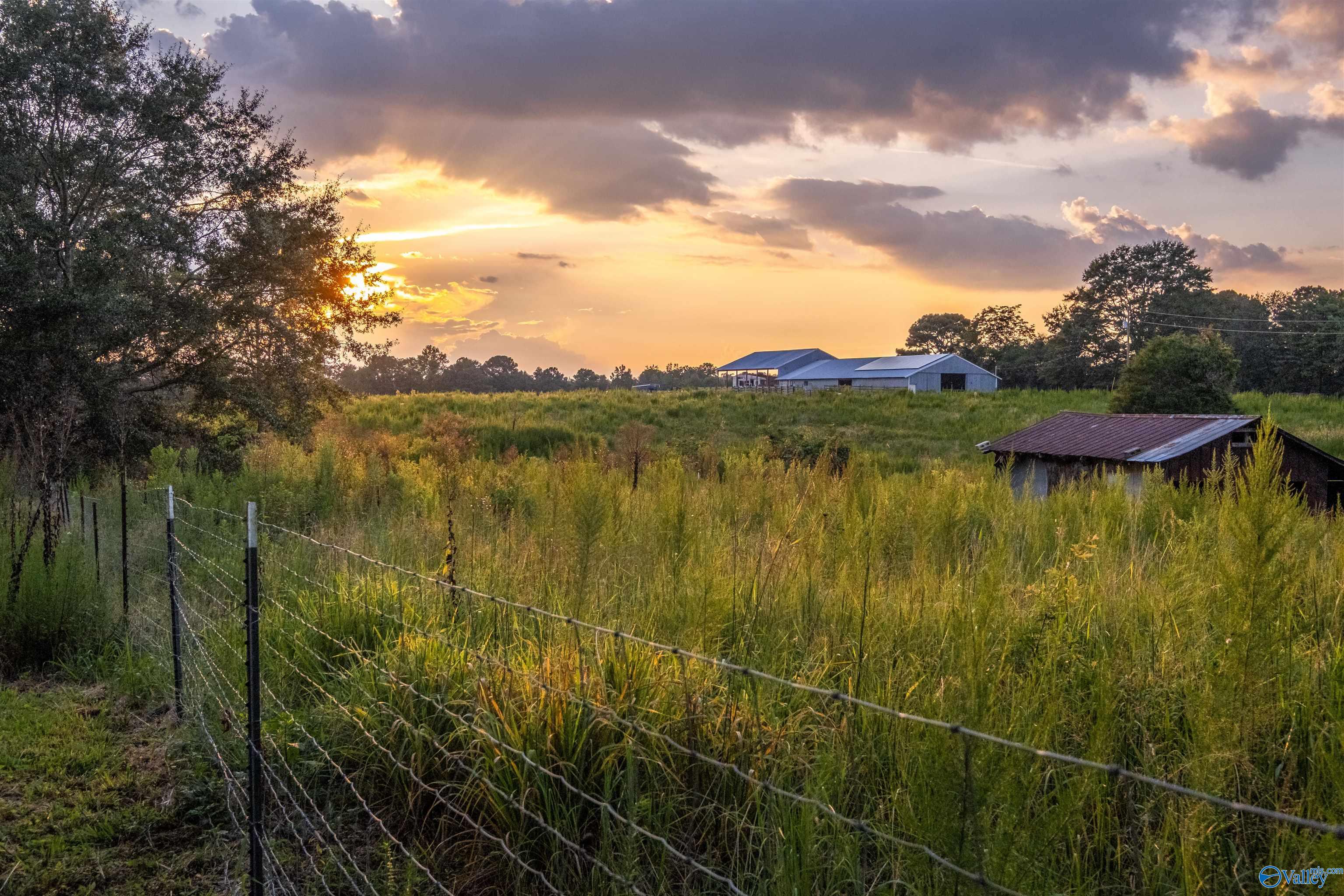 2565 County Road 82