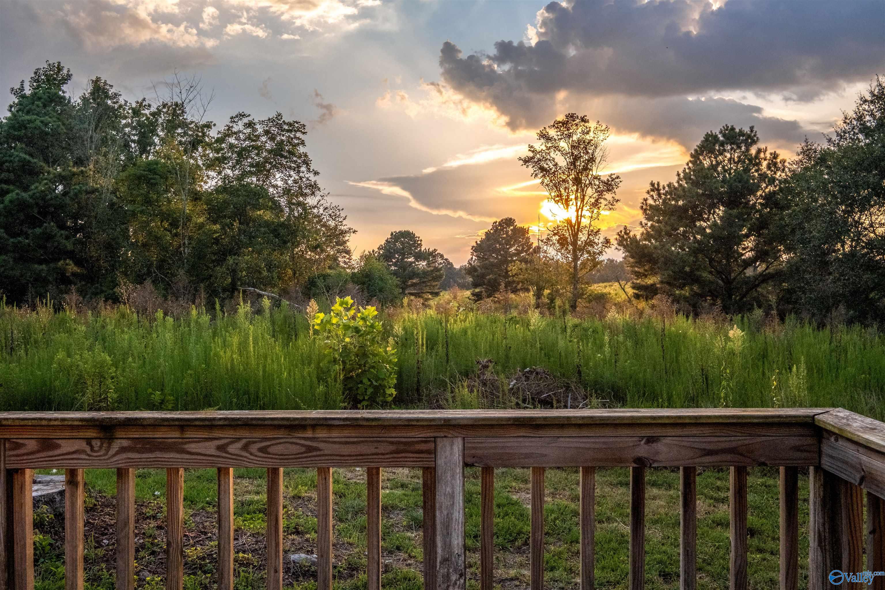 2565 County Road 82