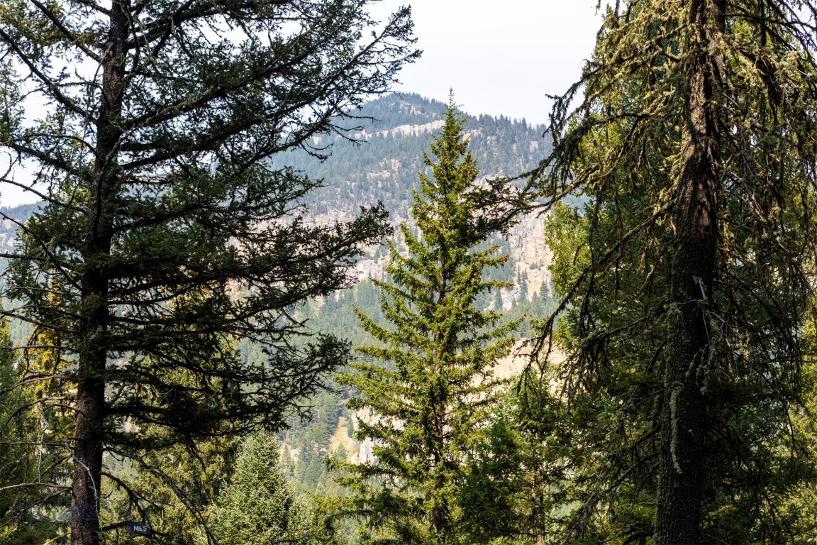 Lot 2 Chickadee Ridge