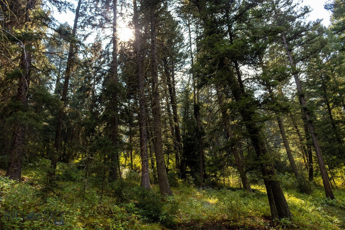 Lot 2 Chickadee Ridge