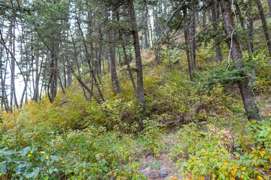 Lot 2 Chickadee Ridge