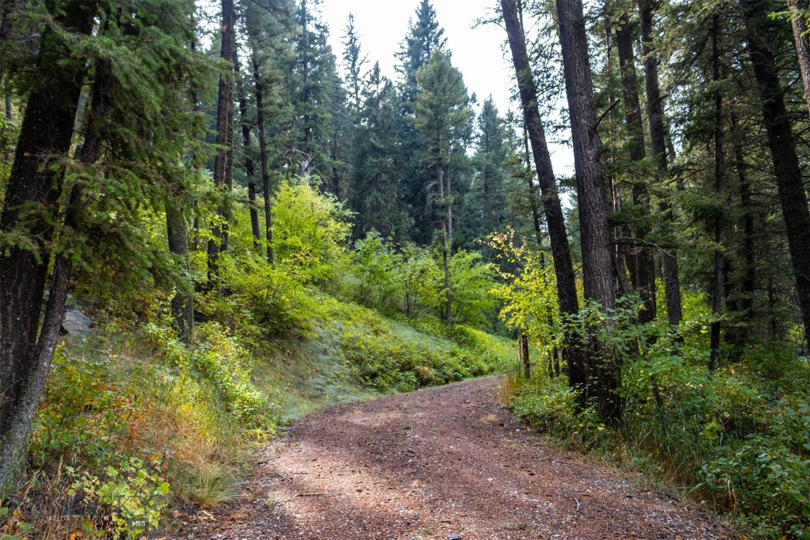 Lot 2 Chickadee Ridge