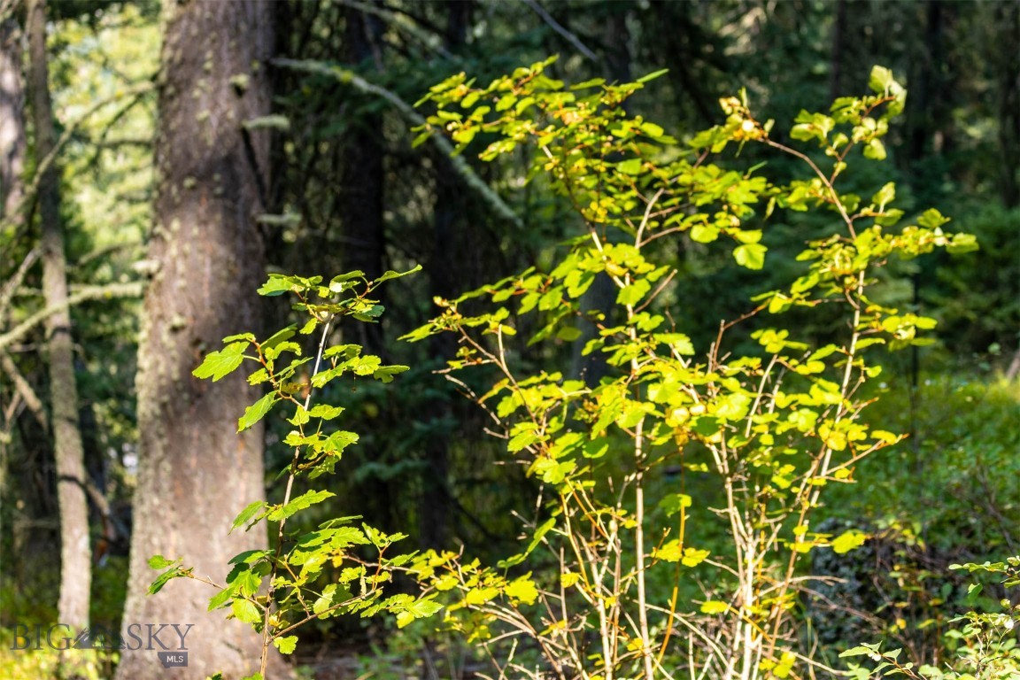 Lot 2 Chickadee Ridge