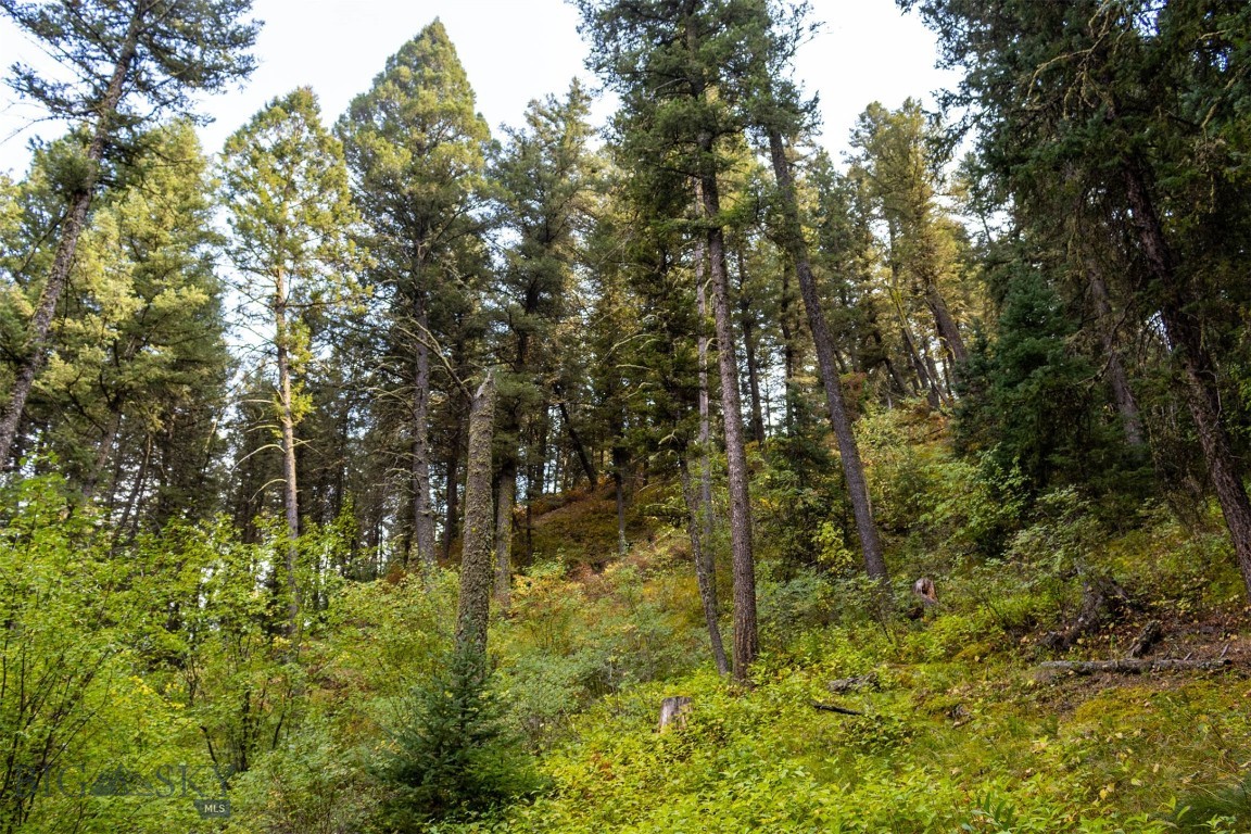 Lot 2 Chickadee Ridge