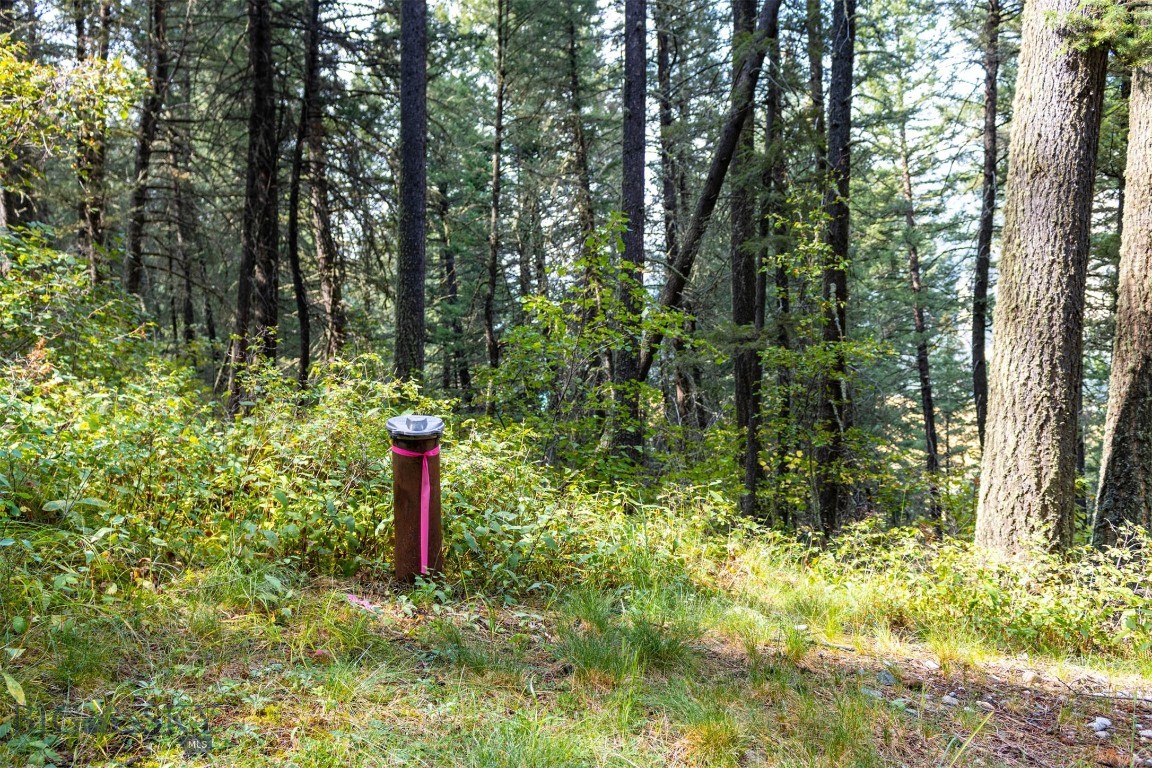 Lot 2 Chickadee Ridge