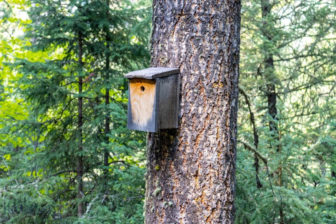 Lot 2 Chickadee Ridge