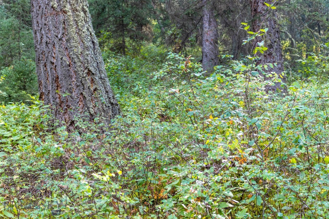 Lot 2 Chickadee Ridge