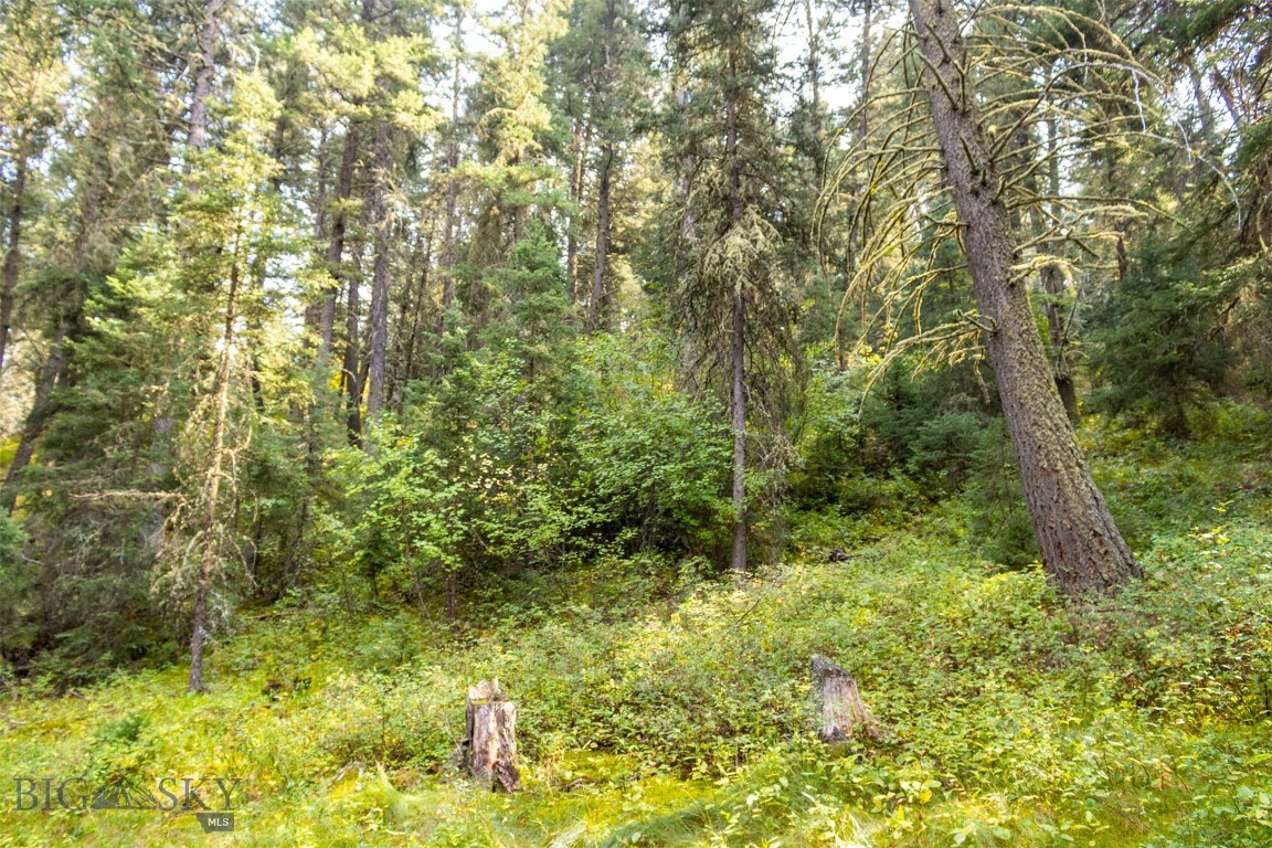 Lot 2 Chickadee Ridge