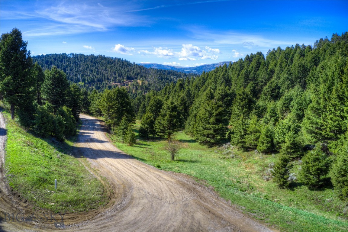 NHN Quinn Creek Road