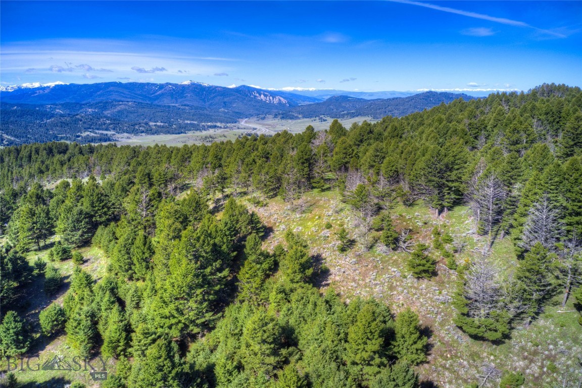 NHN Quinn Creek Road