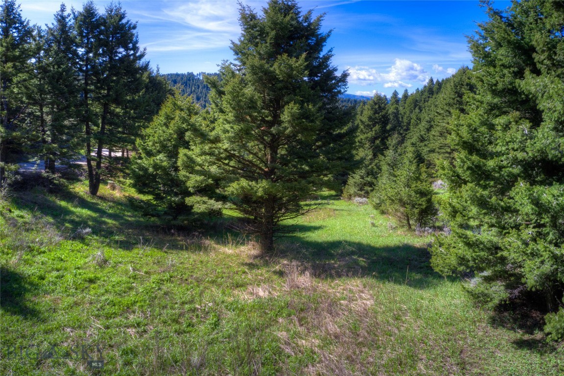 NHN Quinn Creek Road