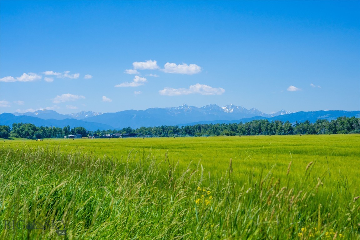 Lot 127 Tillyfour Road