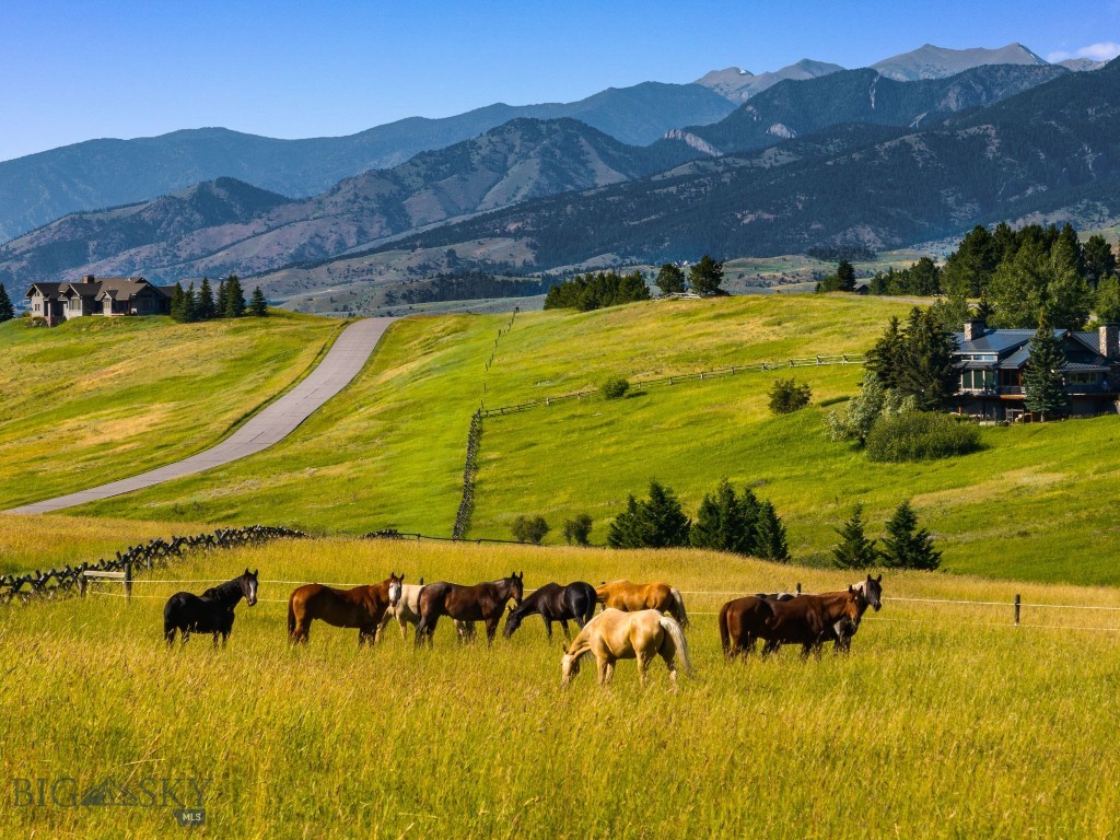 1878 Star Ridge Road