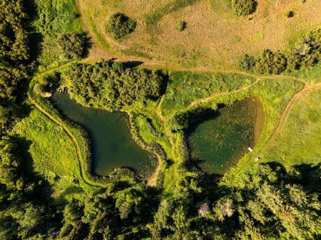 1878 Star Ridge Road