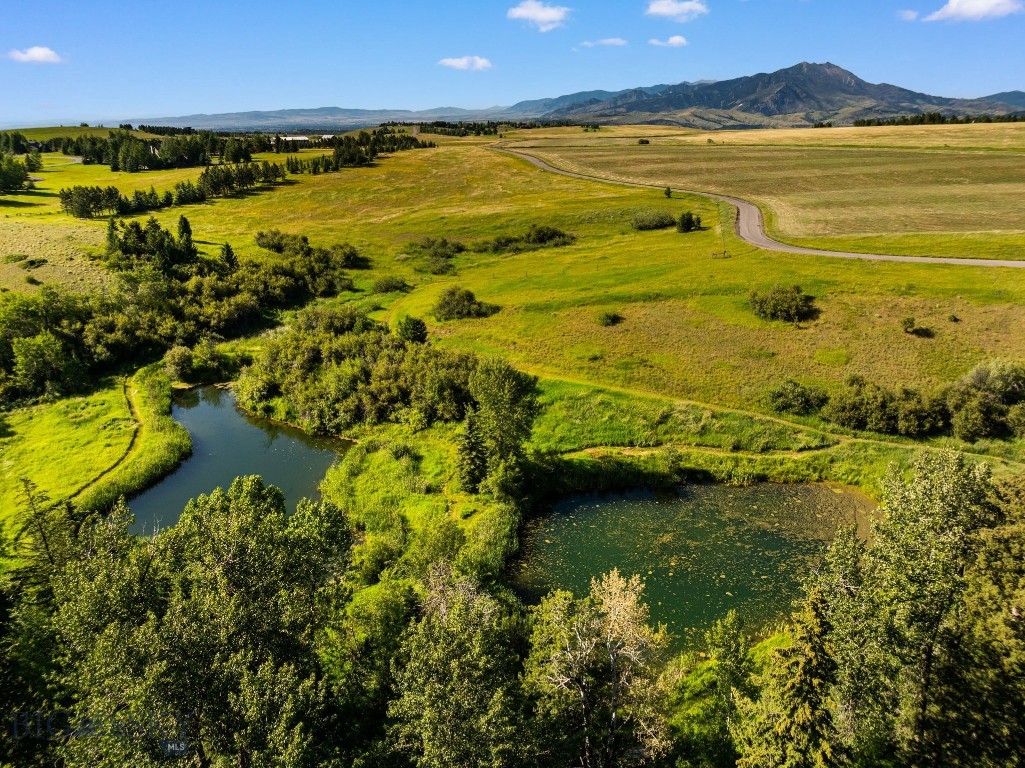 1878 Star Ridge Road