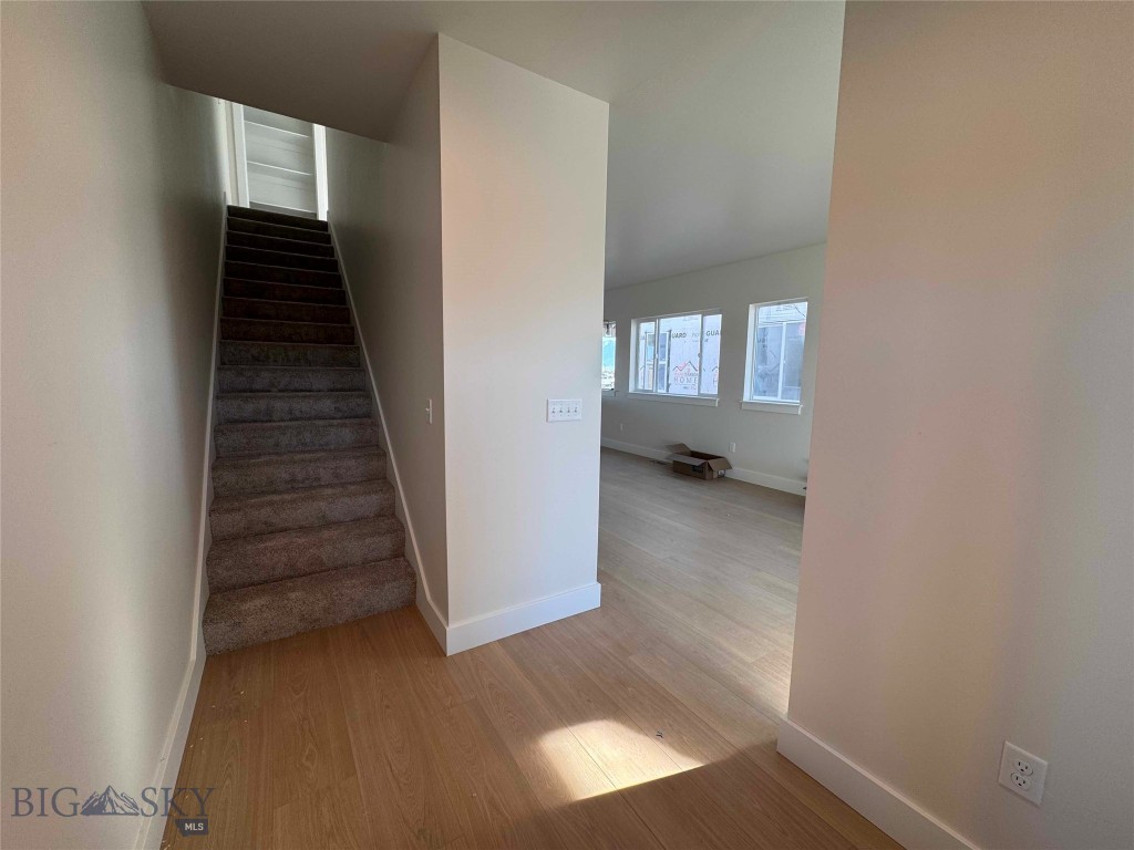807 Spaniel Lane