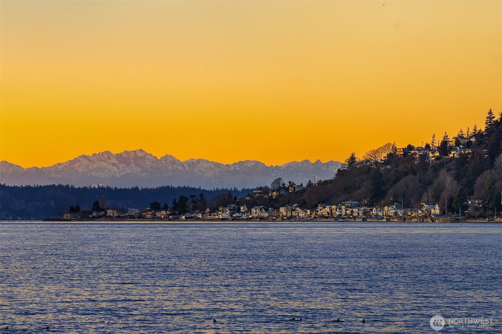 18123 Normandy Terrace SW