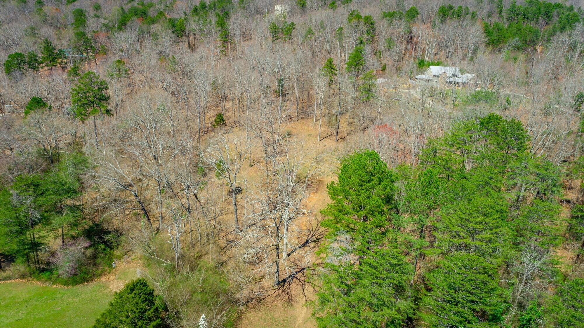 9019 Springfield Road