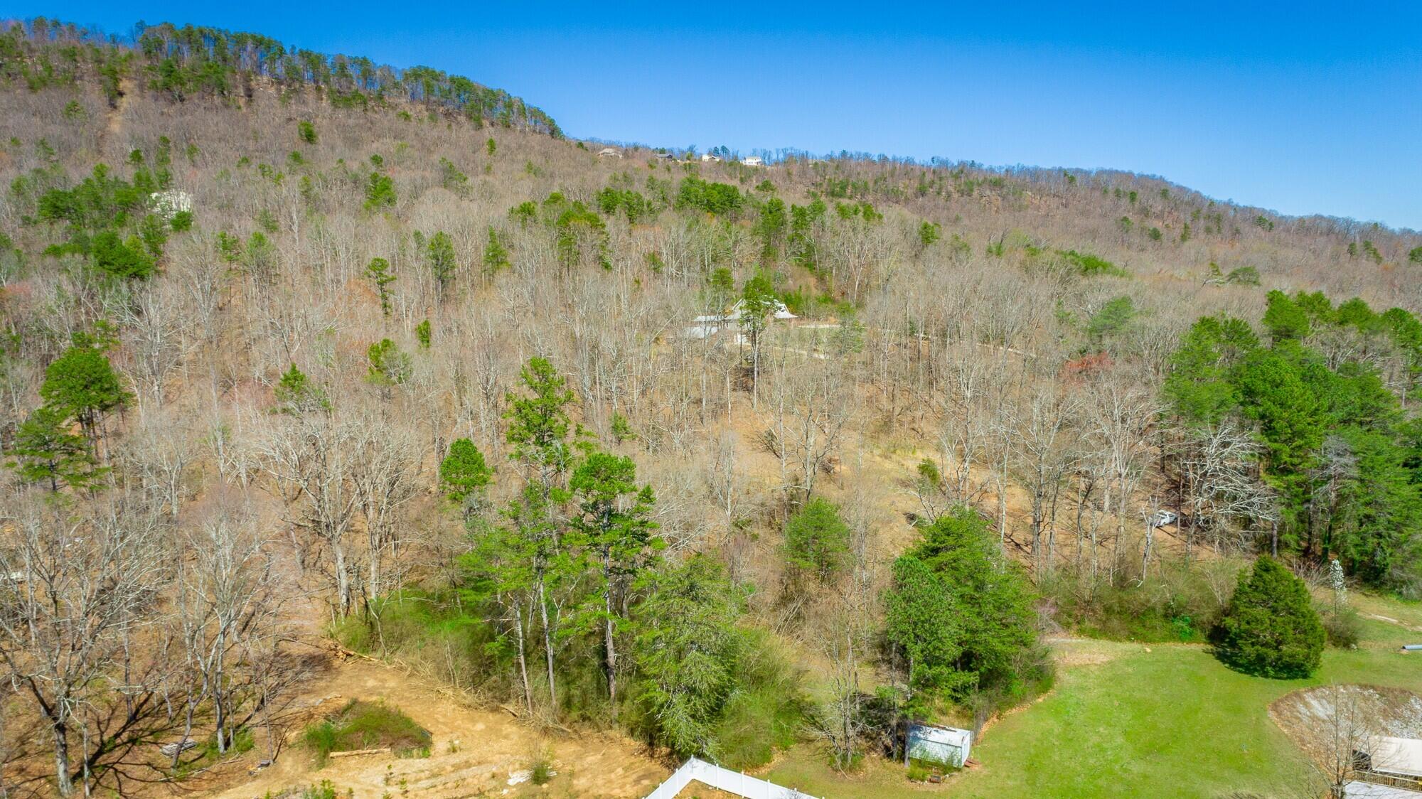 9019 Springfield Road