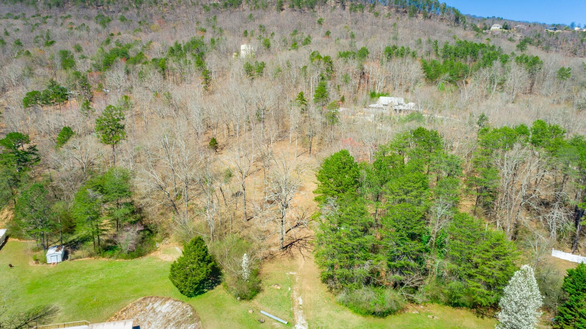 9019 Springfield Road