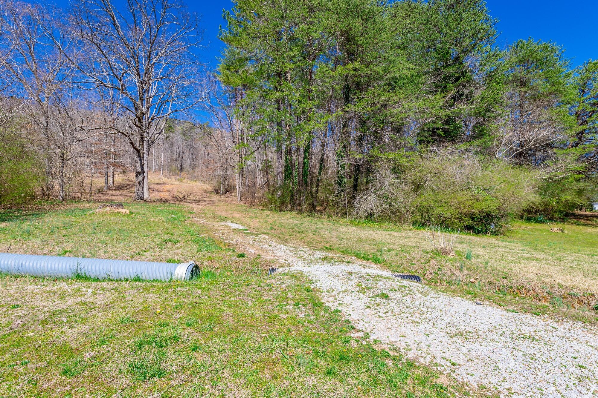 9019 Springfield Road