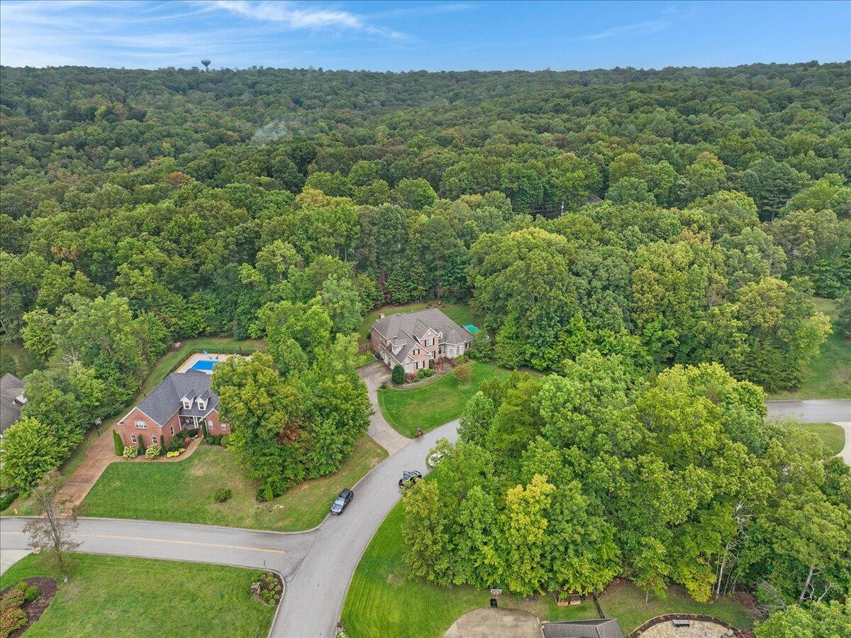 3349 Cloudcrest Trail