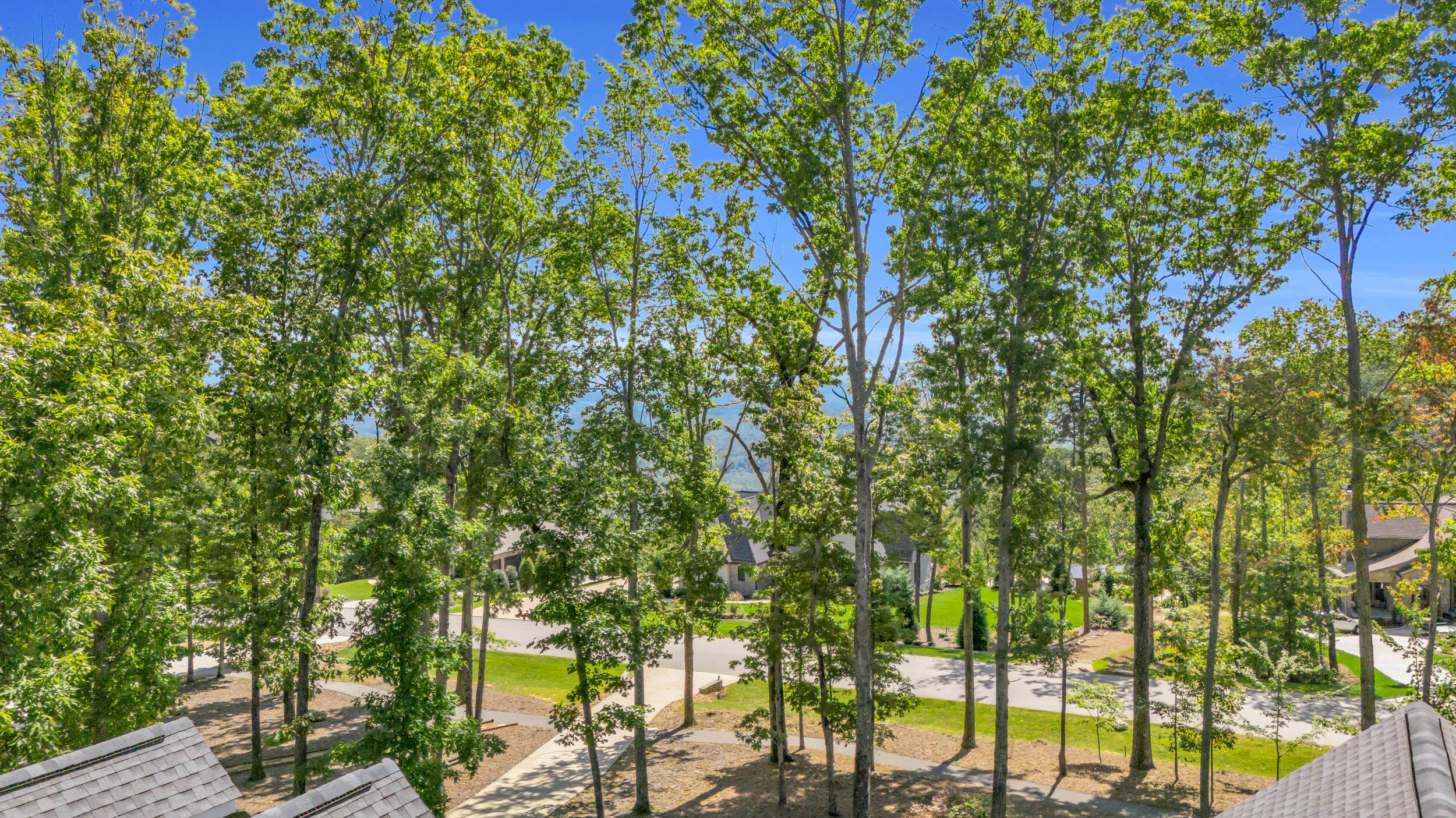 7997 Mountain Laurel Trail