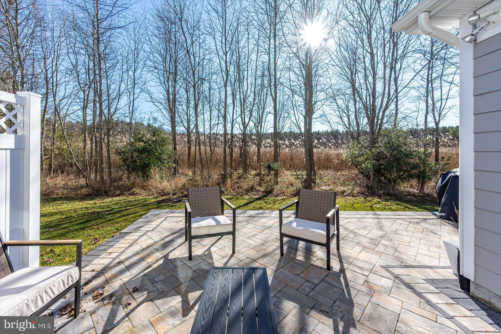 20582 CATTAIL CREEK LANE