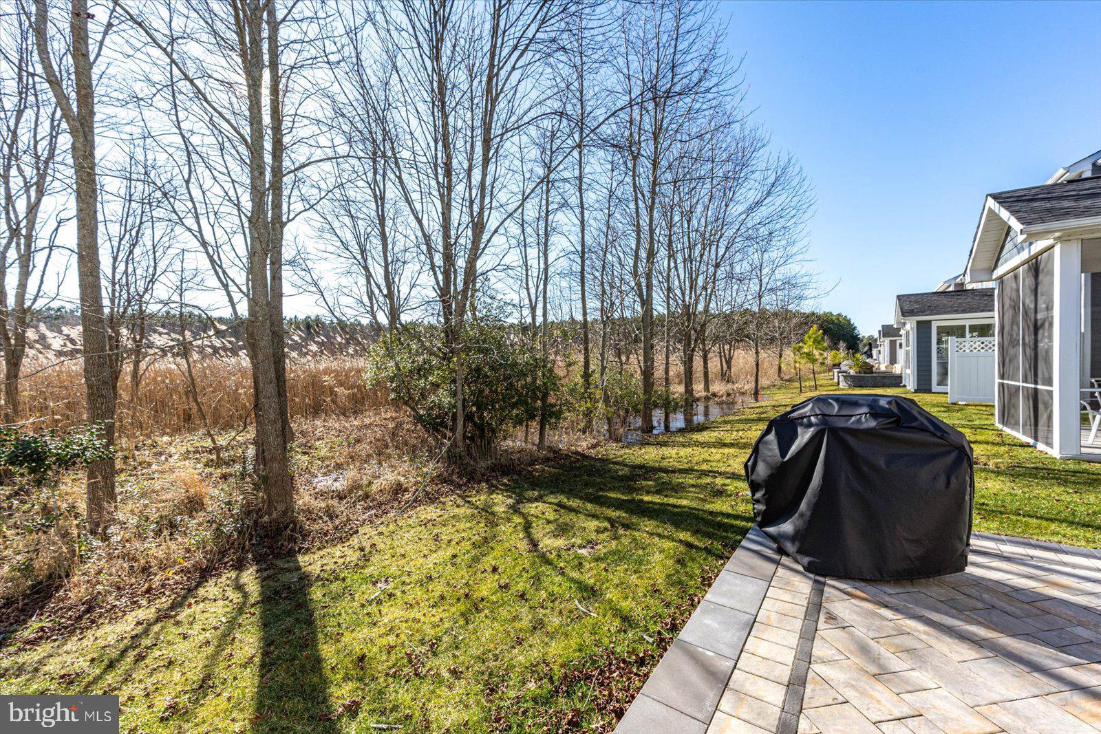 20582 CATTAIL CREEK LANE