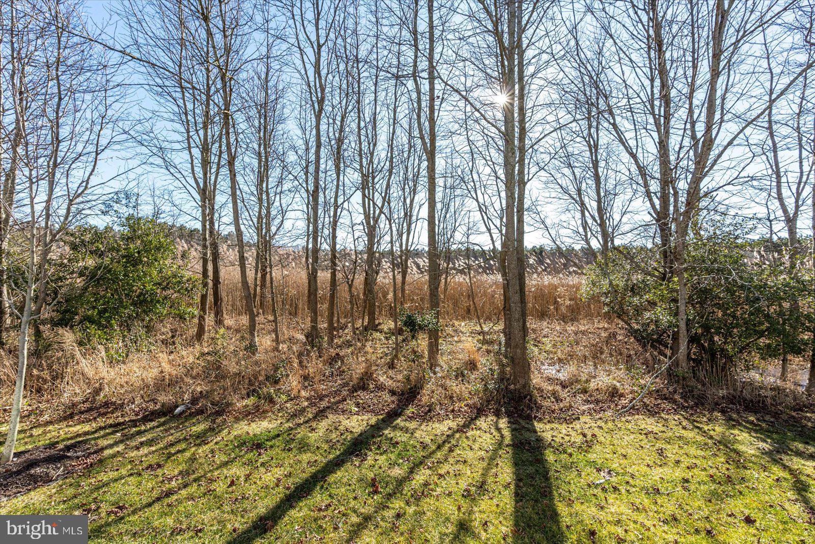 20582 CATTAIL CREEK LANE