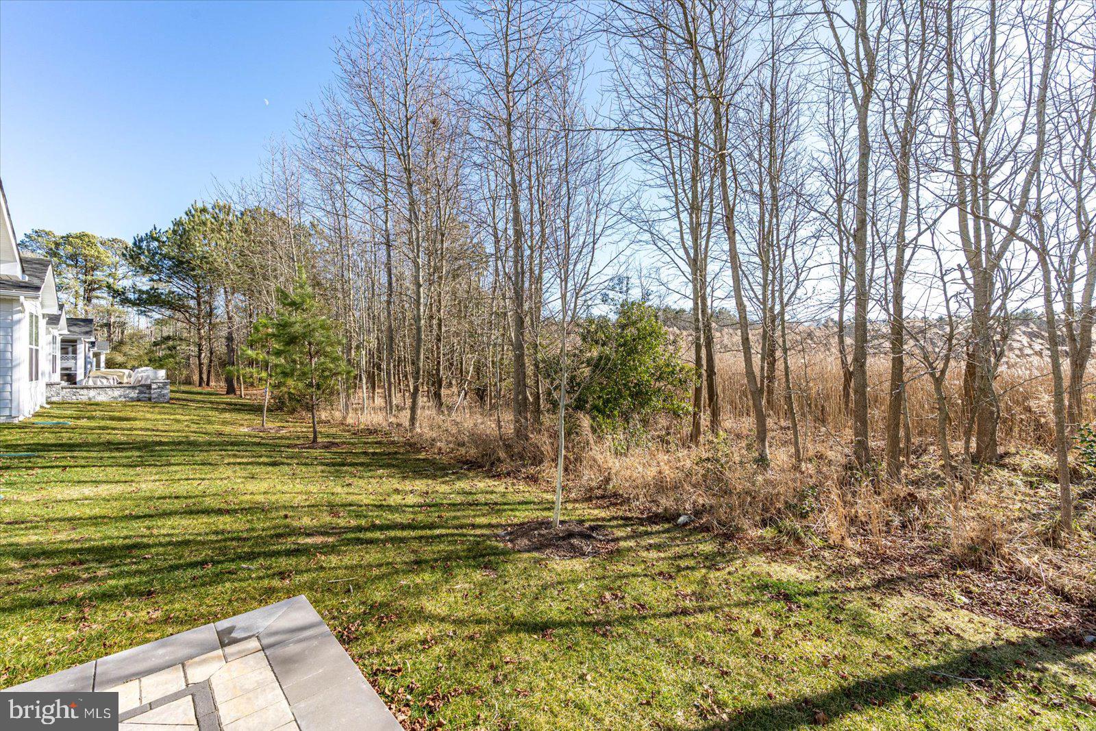 20582 CATTAIL CREEK LANE