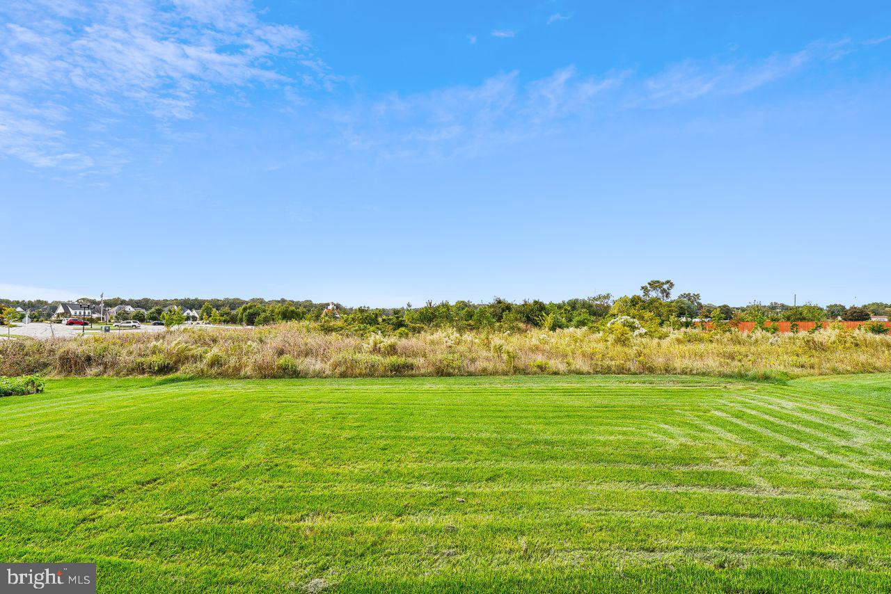 33611 STONINGTON DRIVE