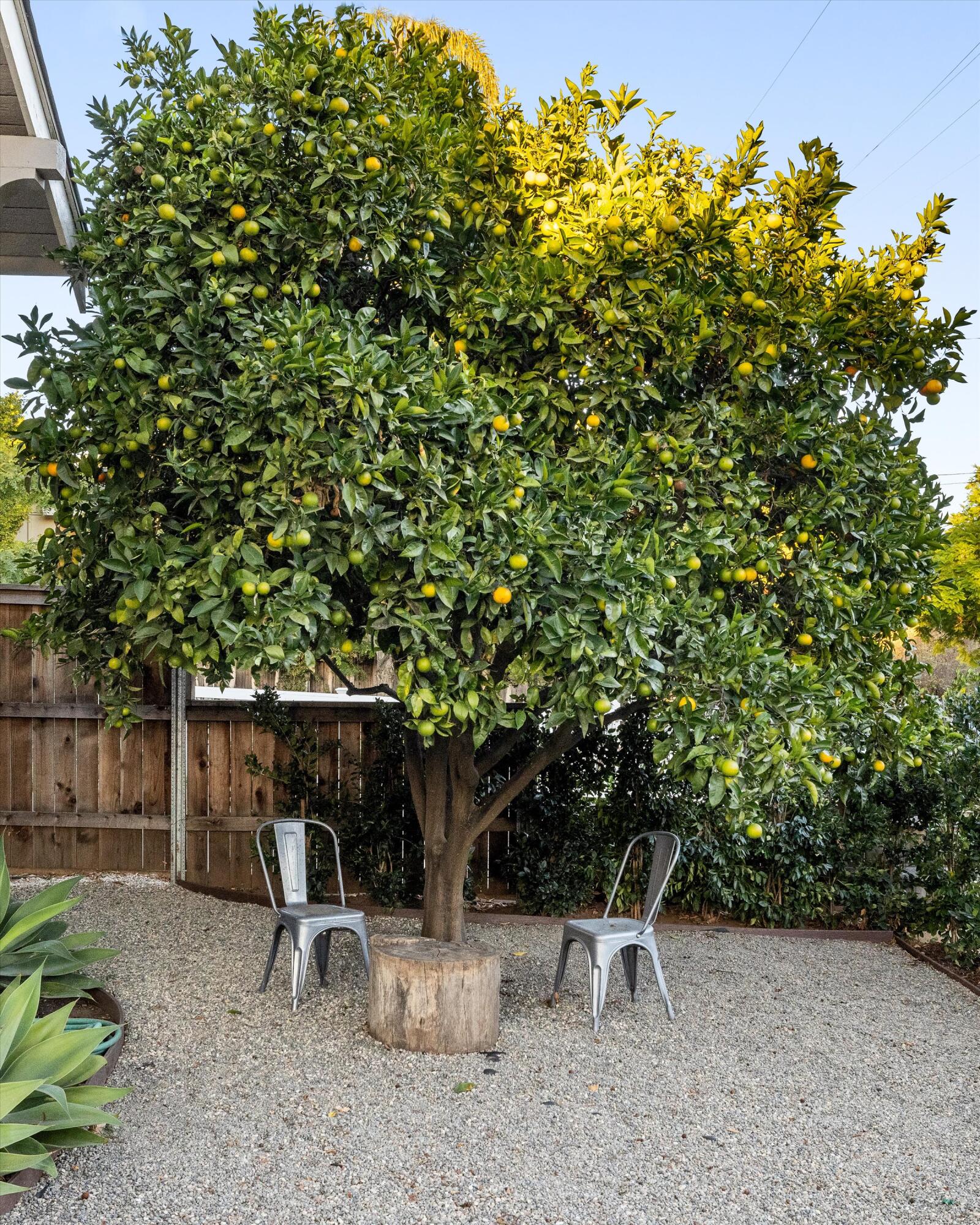 Remodeled Downtown Craftsman